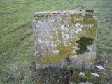 image of grave number 197162